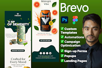 craft professional brevo template newsletters for your business