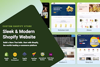 build clean and modern shopify website
