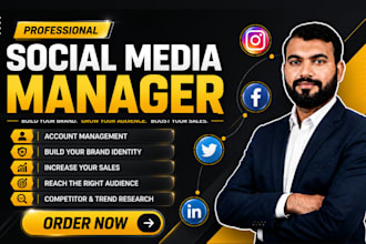 be your social media marketing manager and content creator