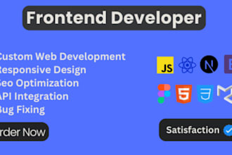 be your frontend developer mentor or consultant