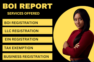 prepare and file, boi report, USA tax returns for personal corporate and llc
