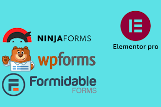 be your elementor pro, wp funnels pro plugin VA, ninja form and formidable form