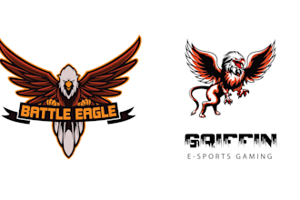 create high quality bird eagle logo
