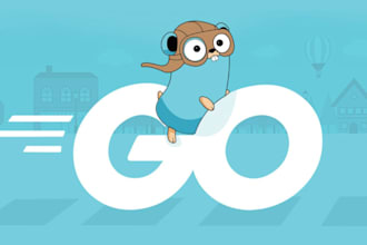 develop and fix your golang backend or rest apis