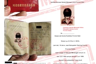 provide a naati certified chinese translation