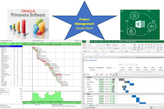 create ms project plans, project charters, gantt chart, schedule and wbs