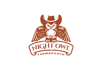 design wonderful night owl logo