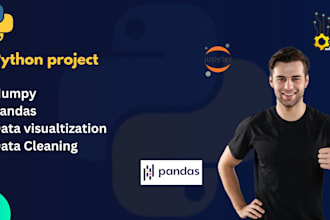 do python numpy and pandas projects