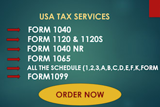 prepare US tax returns for individual and business 1040,1120