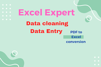 clean data PDF to excel convert data entry in excel