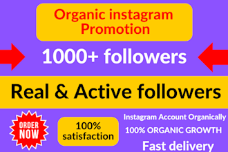 increase 1000 organic instagram followers with lifetime guarantee