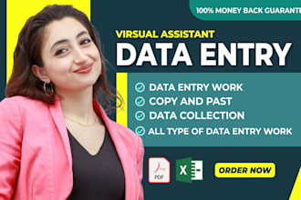 provide financial data entry, exele data entry typing work, and virtual ass