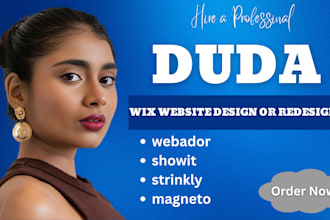 design duda website, webador, showit, strinkly, tilda, magento website redesign