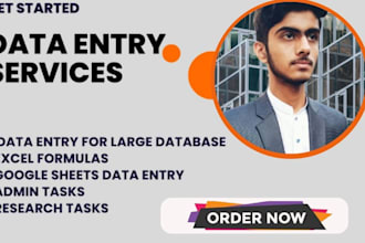 provide you expert data entry services, copy past, data entry VA