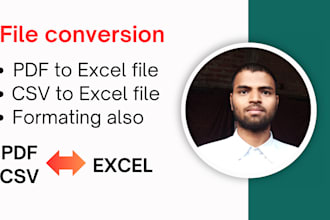 convert pdf to excel file and csv to excel file