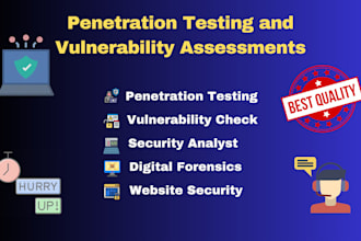 website penetration testing and vulnerability assessment