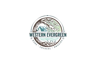 design rare and unusual evergreen tree nursery logo