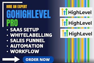 build and setup gohighlevel agency white label ghl saas pro account automation