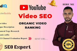 rank youtube organic video seo optimization with vidiq  and tubebuddy
