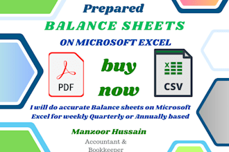 do balance sheets on microsoft excel and PDF formats