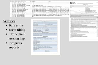 help data entry, form filling,  hcbs client session logs, and progress reports