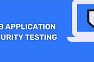 perform advanced web application security testing