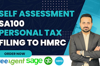 do UK self assessment, UK personal tax return sa100