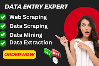 do data mining, web research, data entry and data extraction