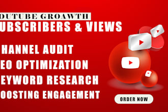 develop organic youtube growth strategies to attract more subscribers and views