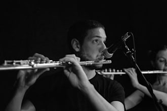 record professional flute parts for your song or project