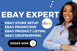 do ebay promotion, amazon to ebay dropshipping, ebay product seo listing product