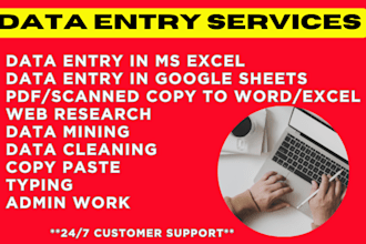 convert PDF to excel, PDF to word, or data entry work