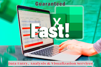 excel expert data entry, analysis, visualization services