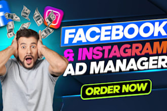 create and manage facebook instagram ads for leads and sales