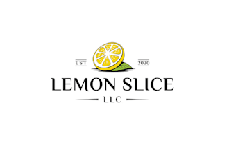 professional retro modern home cleaning logo