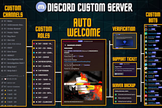 professional discord server setup any niche