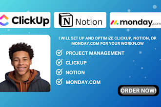 setup and optimize clickup, notion, monday com for your workflow
