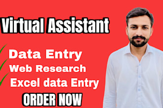 do accurate data entry, web research, copy paste tasks and excel data entry jobs