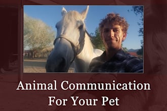 speak with your pet using animal communication
