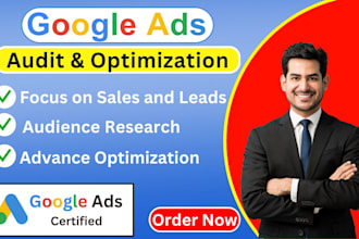 audit optimize ppc campaigns google ads audit, ppc ads audit expert