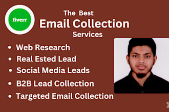 do copy paste,  data entry, emails collection, b2b leads
