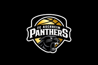 create a minimalist and creative basketball logo design