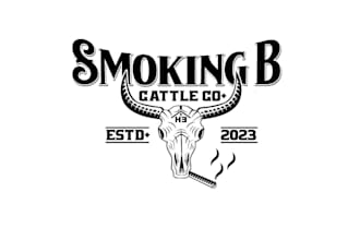 create professional and specially western logo design
