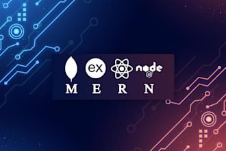 develop a professional mern stack web application or website