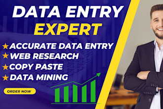 expertly handle data entry, copy paste, web research and file conversion task