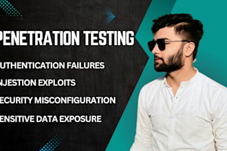perform expert web pentesting with report