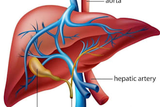 professional medical and scientific illustrations