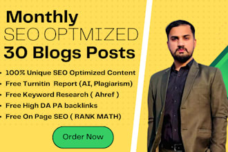 do monthly SEO content writing, articles, bulk 30 blog posts