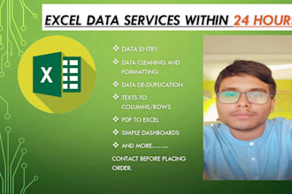 clean, format and analyse data in excel