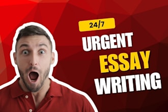 do urgent essay, article and summary writing